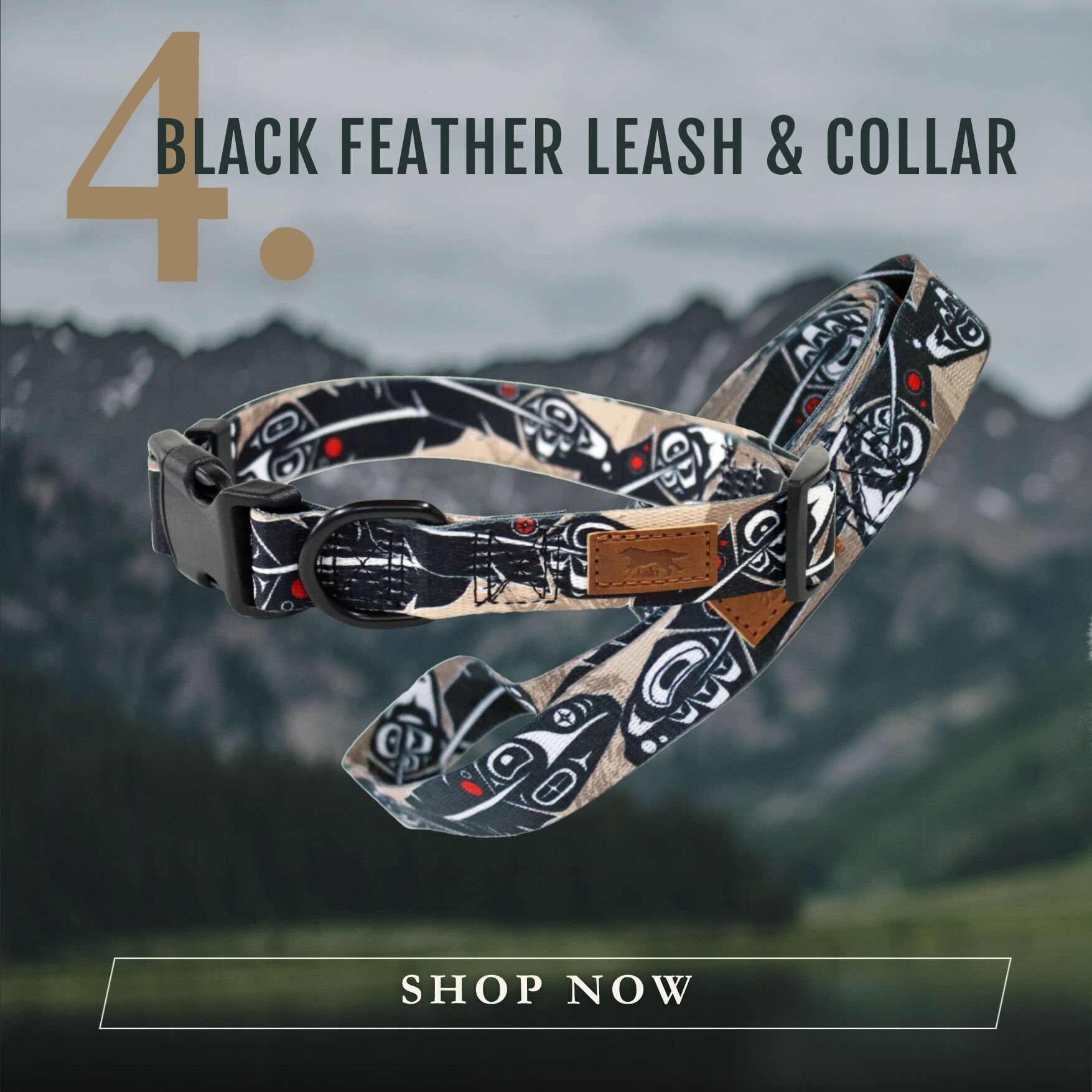 Ravens Feather leash collection