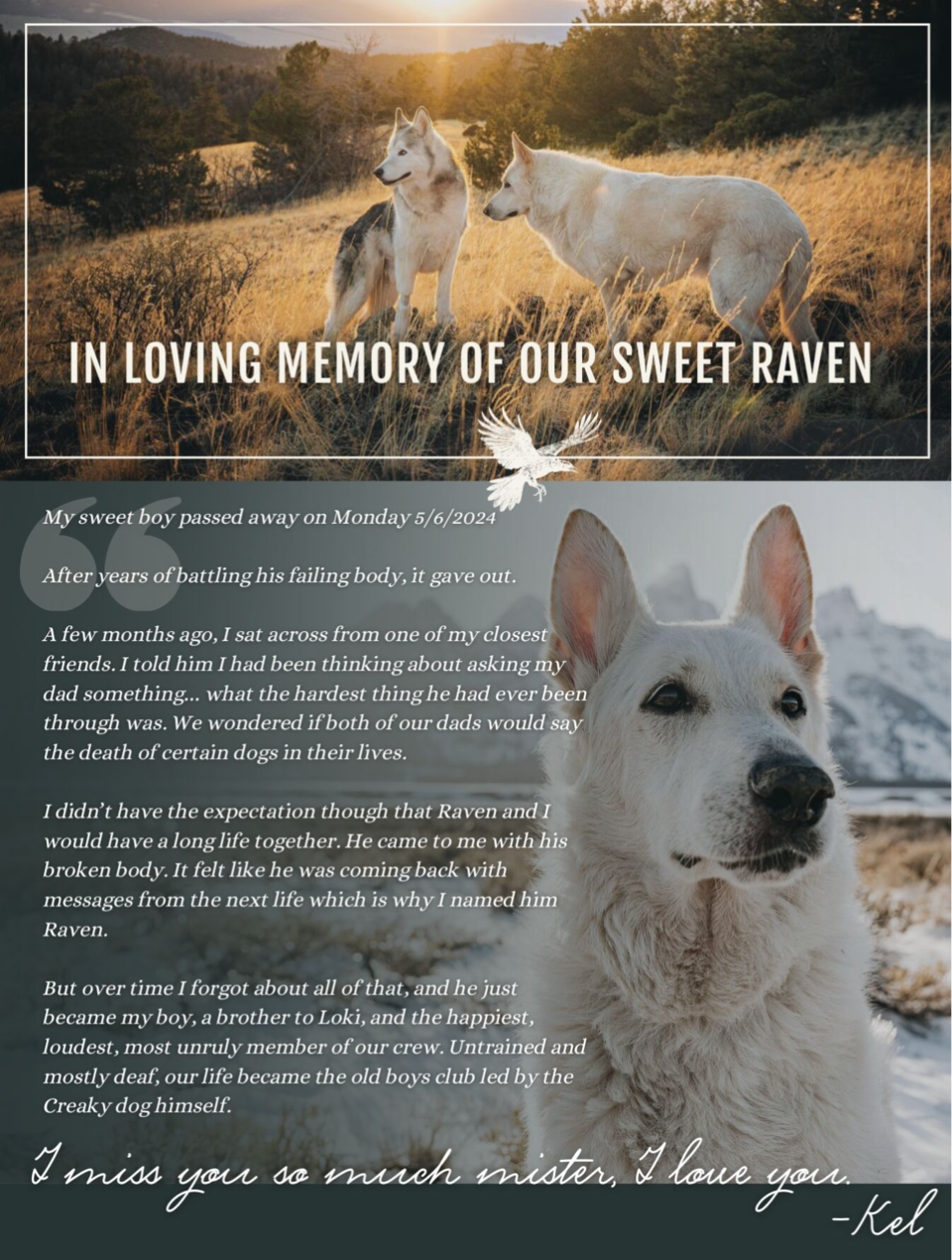 in memory of raven