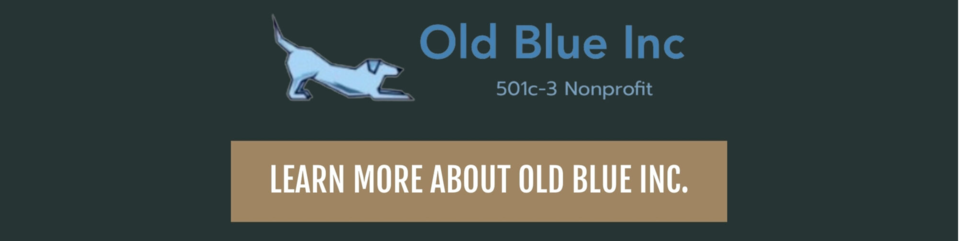 Old Blue Inc Website