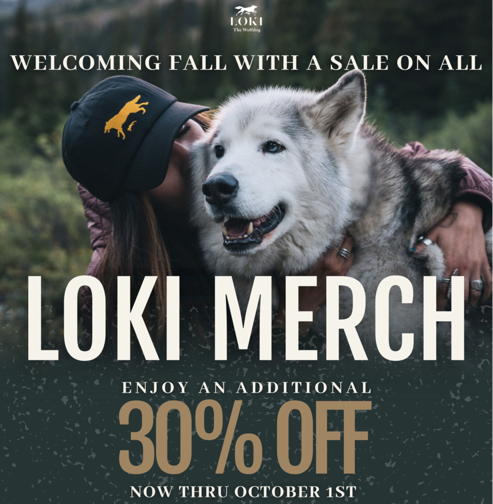 Loki the Wolfdog Website